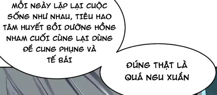 Tiên Vương Thú Liệp Pháp Tắc Chapter 24 - 44