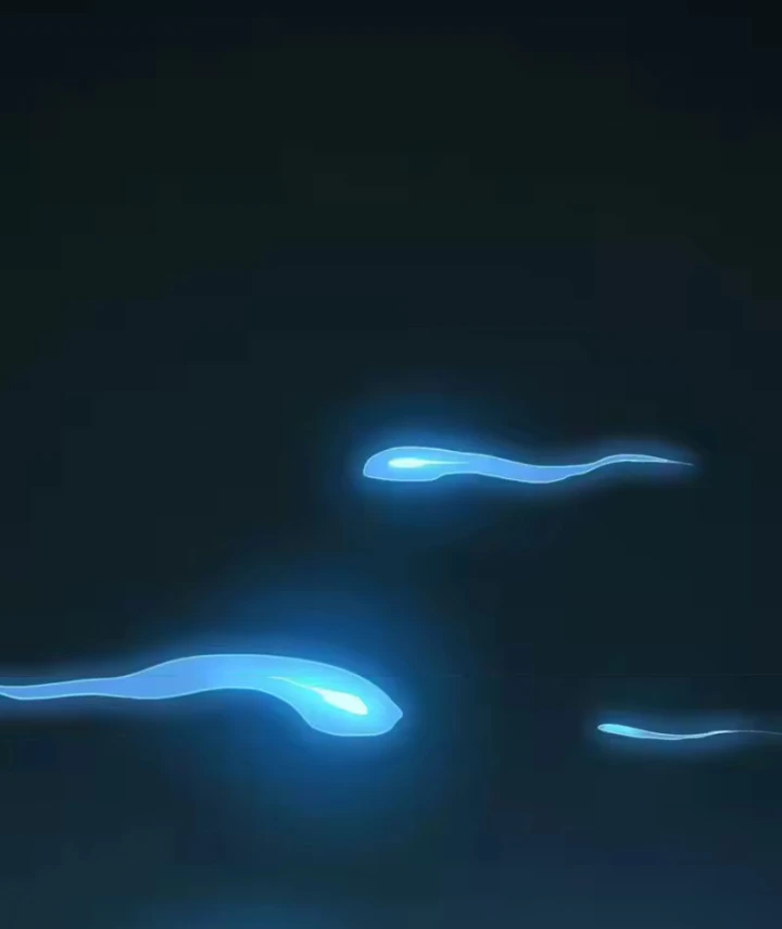 Tiên Vương Thú Liệp Pháp Tắc Chapter 35 - 74