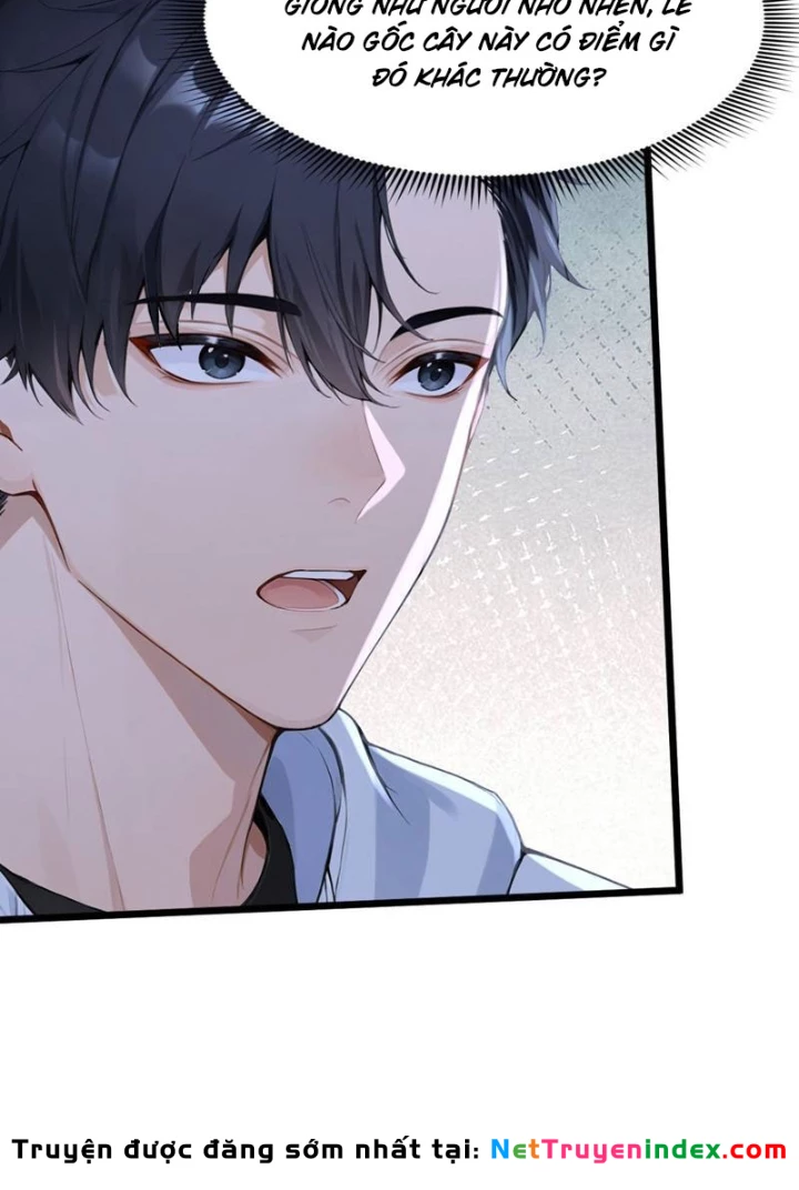 Thái Cổ Thập Hung: Người khác ngự thú ta ngự thú nương Chapter 70 - 79