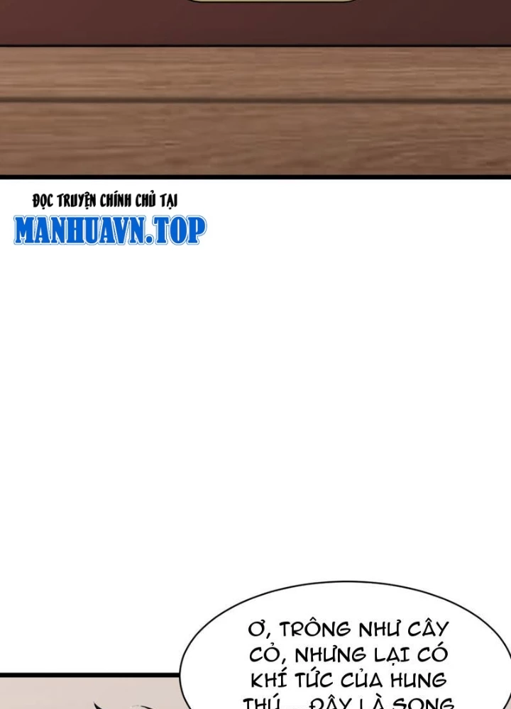 Thái Cổ Thập Hung: Người khác ngự thú ta ngự thú nương Chapter 70 - 83