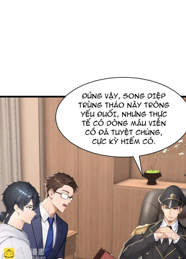 Thái Cổ Thập Hung: Người khác ngự thú ta ngự thú nương Chapter 70 - 87