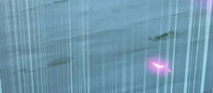 Thái Cổ Thập Hung: Người khác ngự thú ta ngự thú nương Chapter 94 - 114