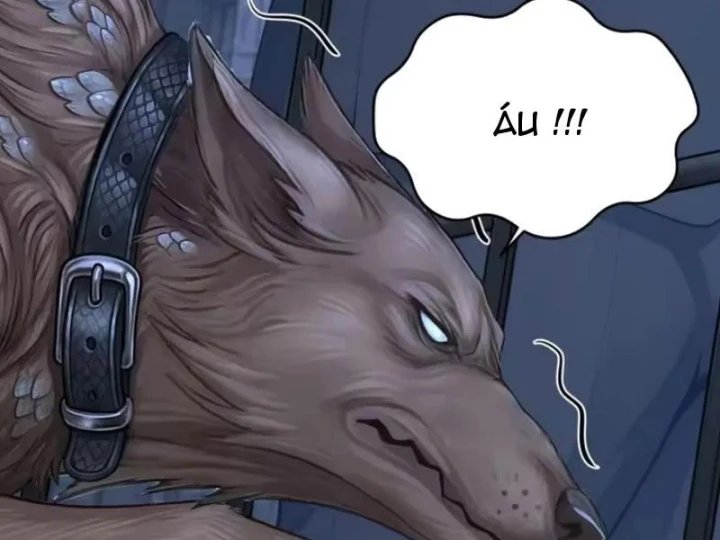 Thái Cổ Thập Hung: Người khác ngự thú ta ngự thú nương Chapter 146 - 104