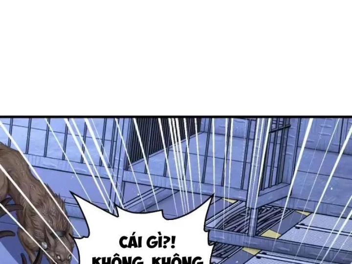 Thái Cổ Thập Hung: Người khác ngự thú ta ngự thú nương Chapter 148 - 30