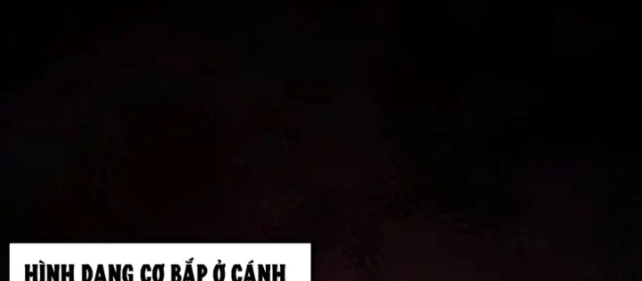 Sau khi xuyên vào game kết liễu boss thành công đứng nhất Chapter 26 - 26