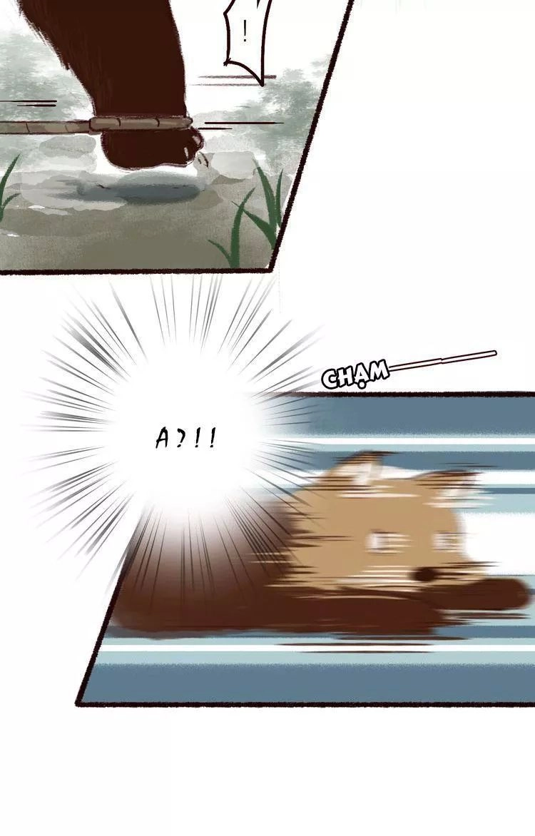 Trường Phong Quyển Chapter 5 - 29