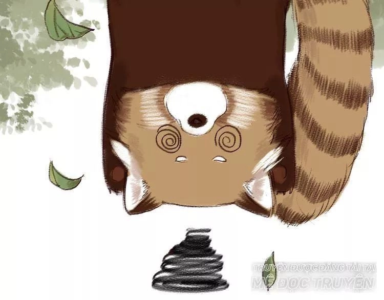 Trường Phong Quyển Chapter 5 - 31