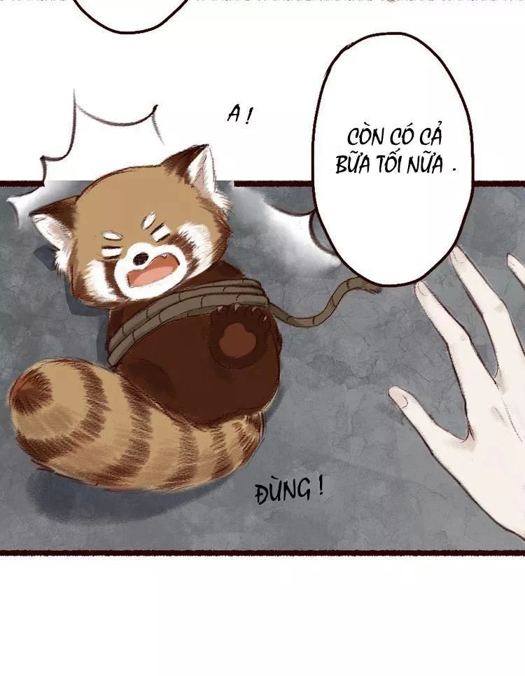 Trường Phong Quyển Chapter 5 - 42