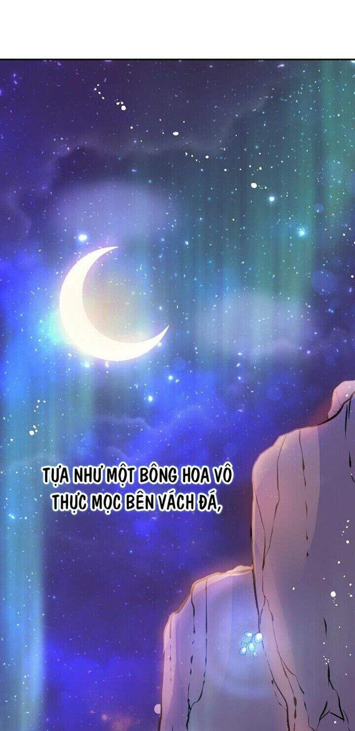 Tôi Không Cố Ý Quyến Rũ Nam Chính Đâu! Chapter 2 - 29