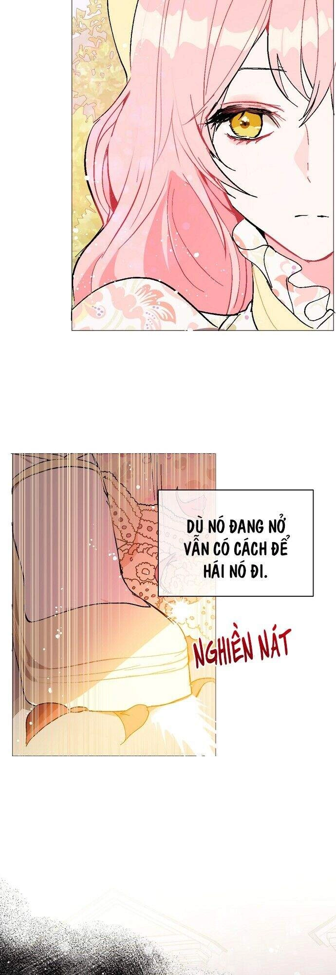 Tôi Không Cố Ý Quyến Rũ Nam Chính Đâu! Chapter 16 - 26