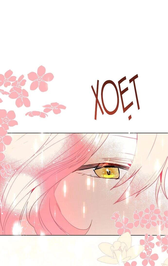 Tôi Không Cố Ý Quyến Rũ Nam Chính Đâu! Chapter 22 - 36