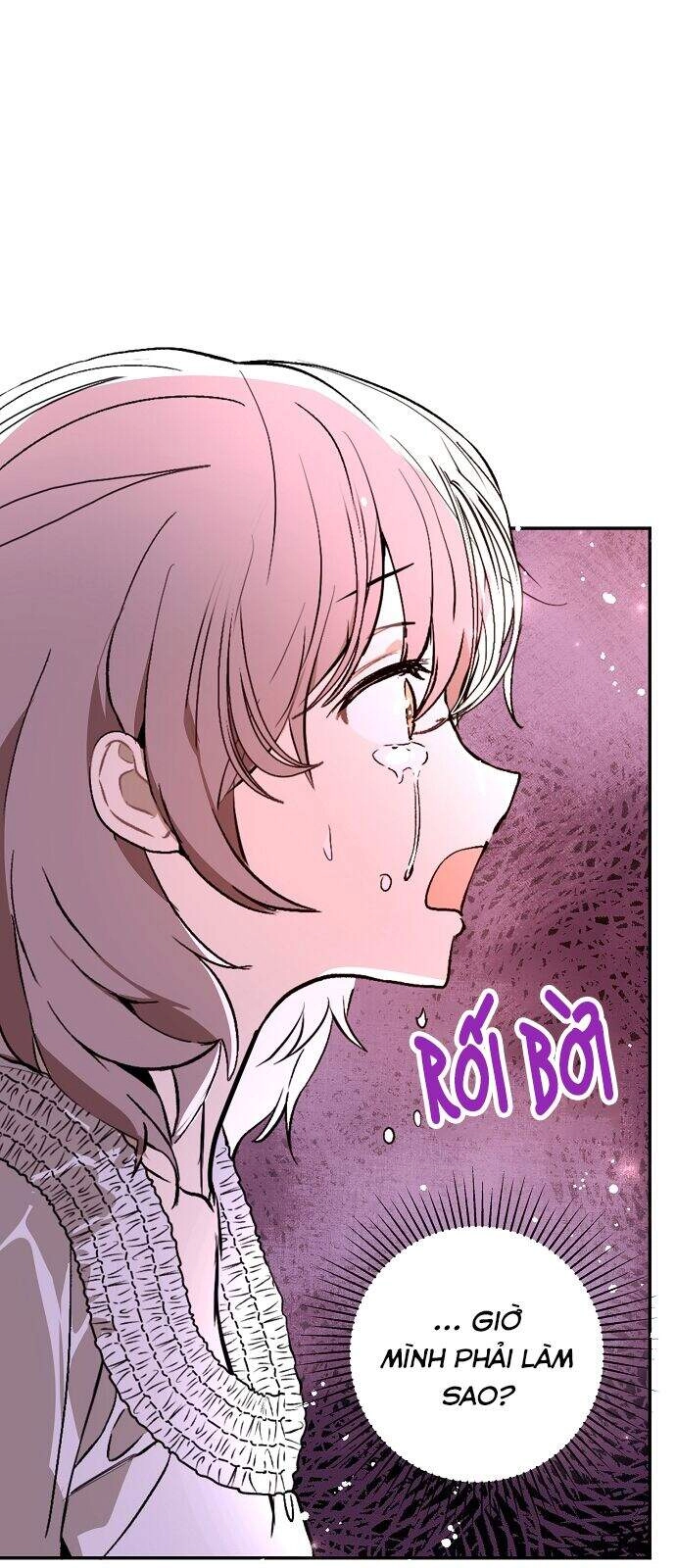 Tôi Không Cố Ý Quyến Rũ Nam Chính Đâu! Chapter 22 - 48