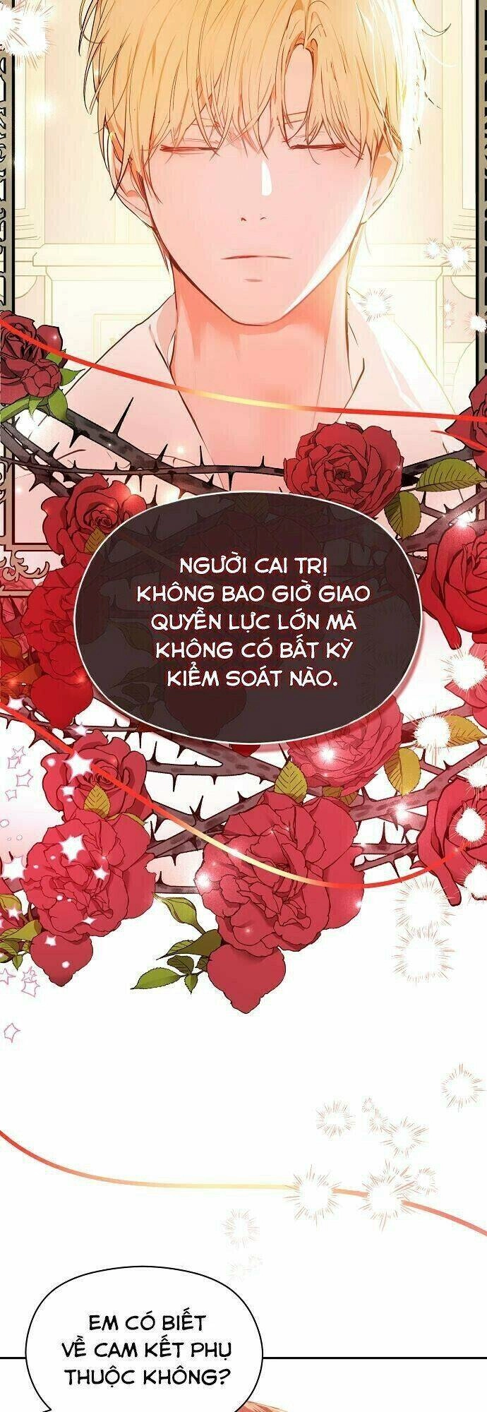 Tôi Không Cố Ý Quyến Rũ Nam Chính Đâu! Chapter 37.5 - 12