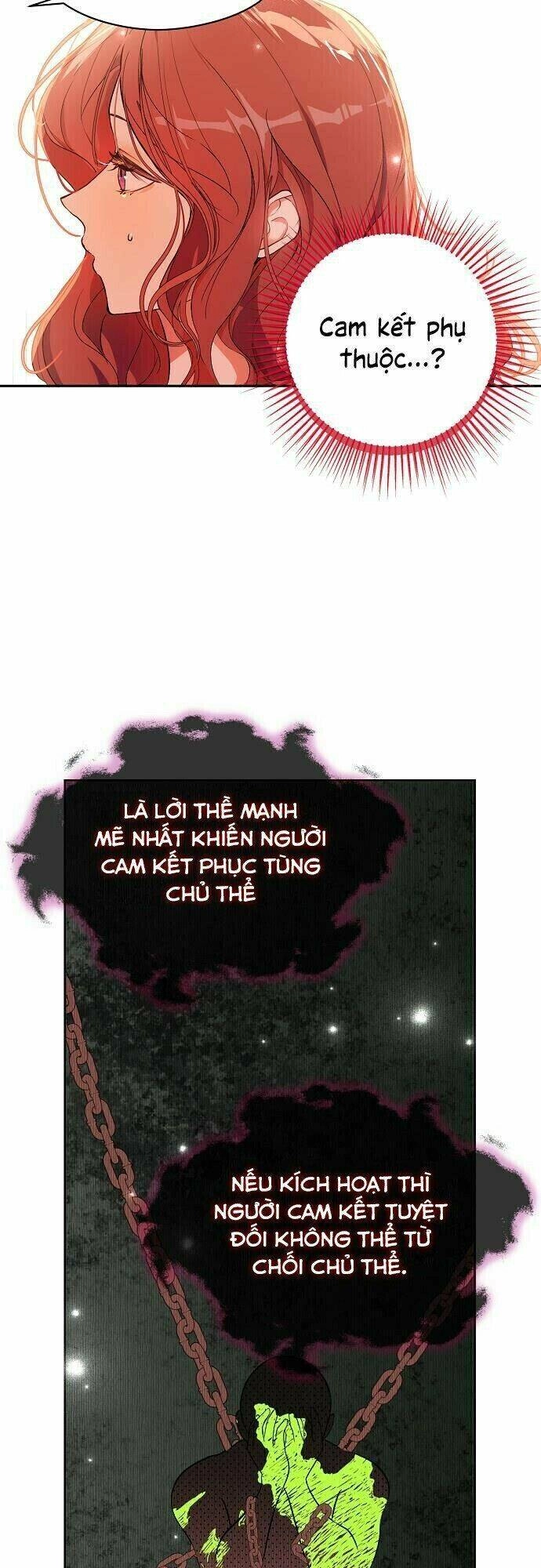 Tôi Không Cố Ý Quyến Rũ Nam Chính Đâu! Chapter 37.5 - 13