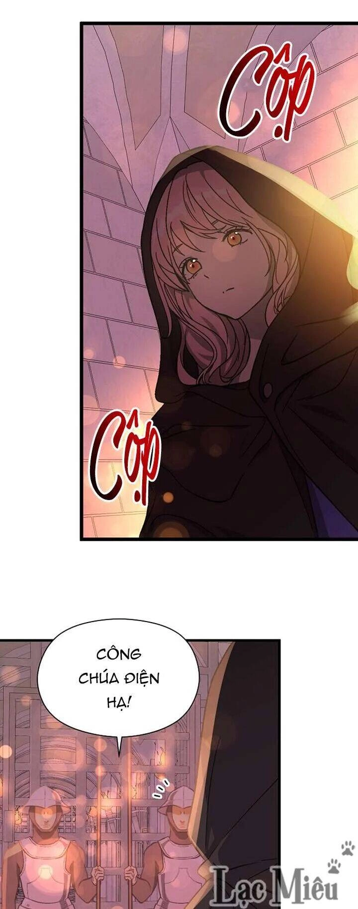 Tôi Không Cố Ý Quyến Rũ Nam Chính Đâu! Chapter 40 - 39