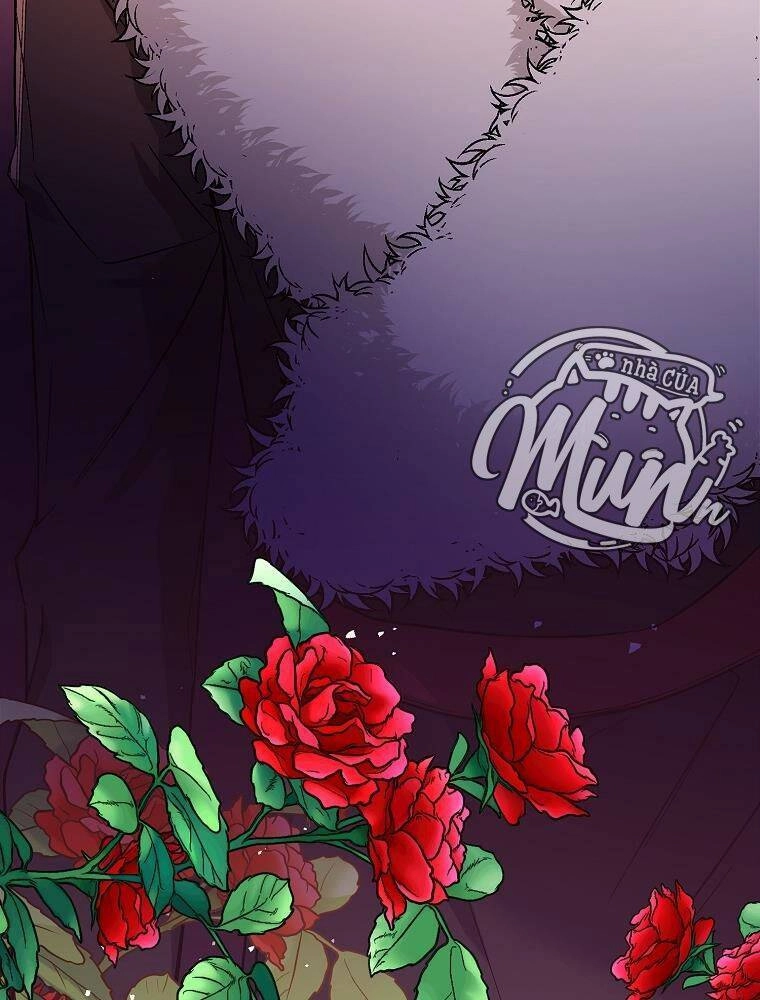 Tôi Không Cố Ý Quyến Rũ Nam Chính Đâu! Chapter 41 - 29