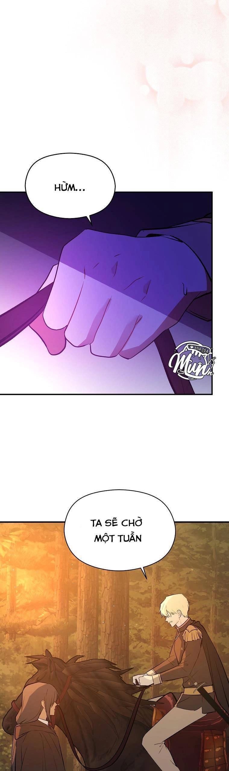 Tôi Không Cố Ý Quyến Rũ Nam Chính Đâu! Chapter 59 - 37