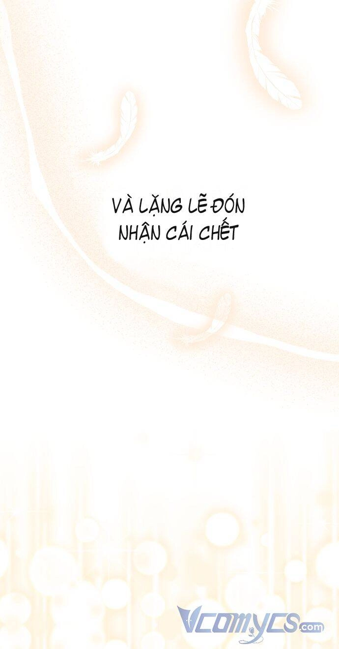 Tôi Không Cố Ý Quyến Rũ Nam Chính Đâu! Chapter 63 - 43