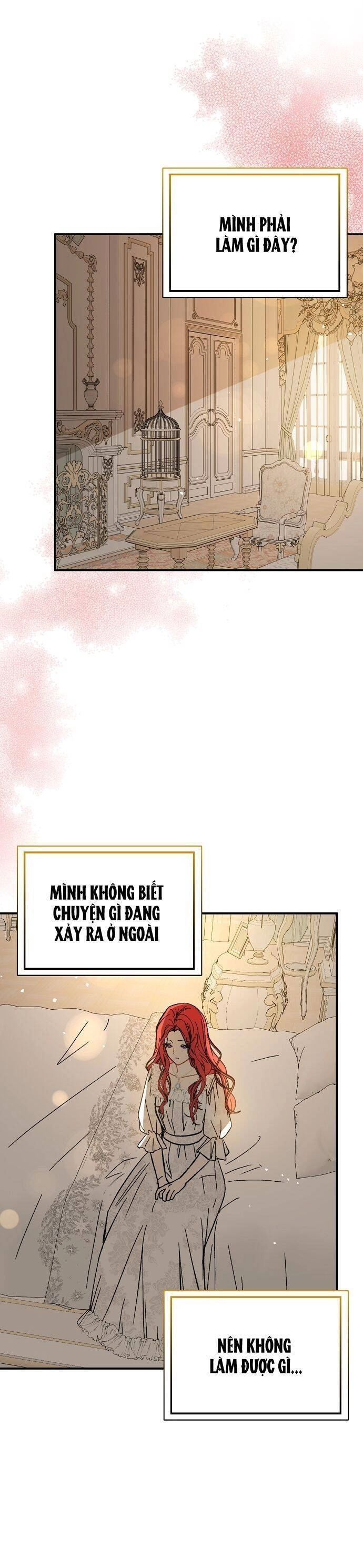 Tôi Không Cố Ý Quyến Rũ Nam Chính Đâu! Chapter 65 - 21