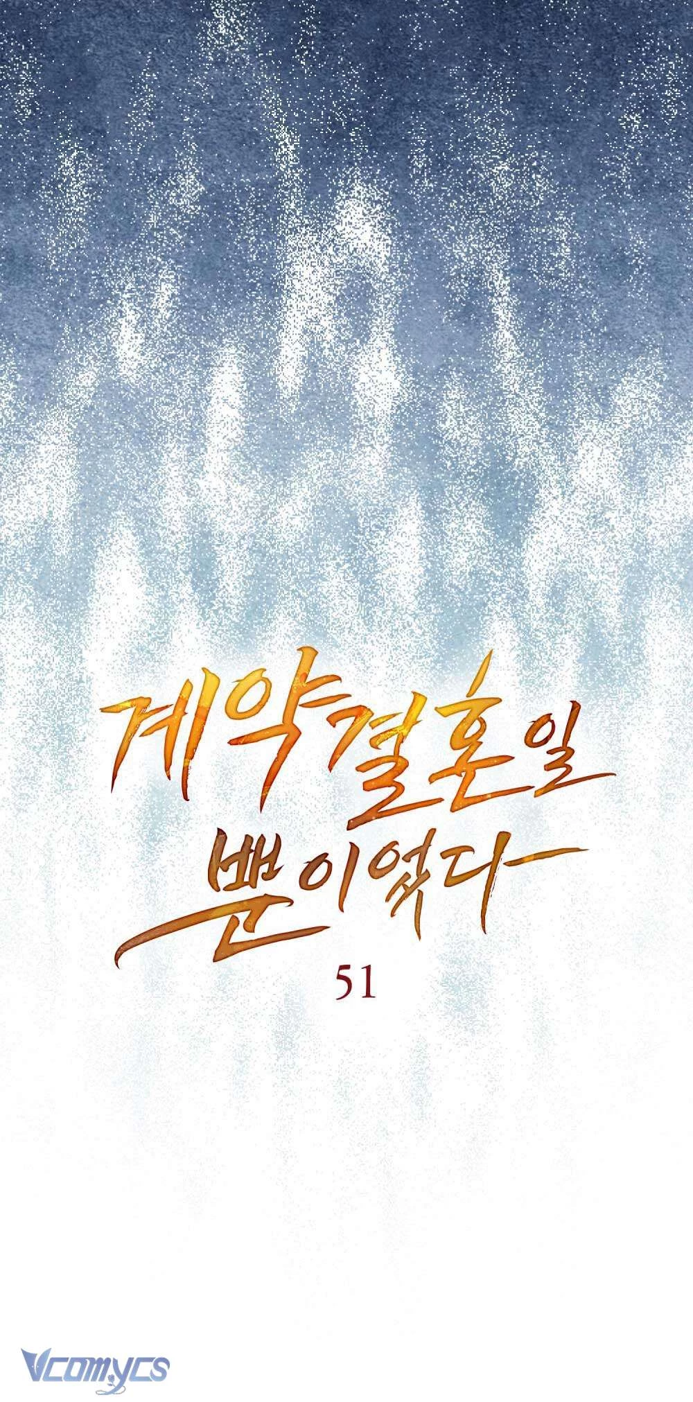 Hôn Nhân Khế Ước Chapter 51 - 29