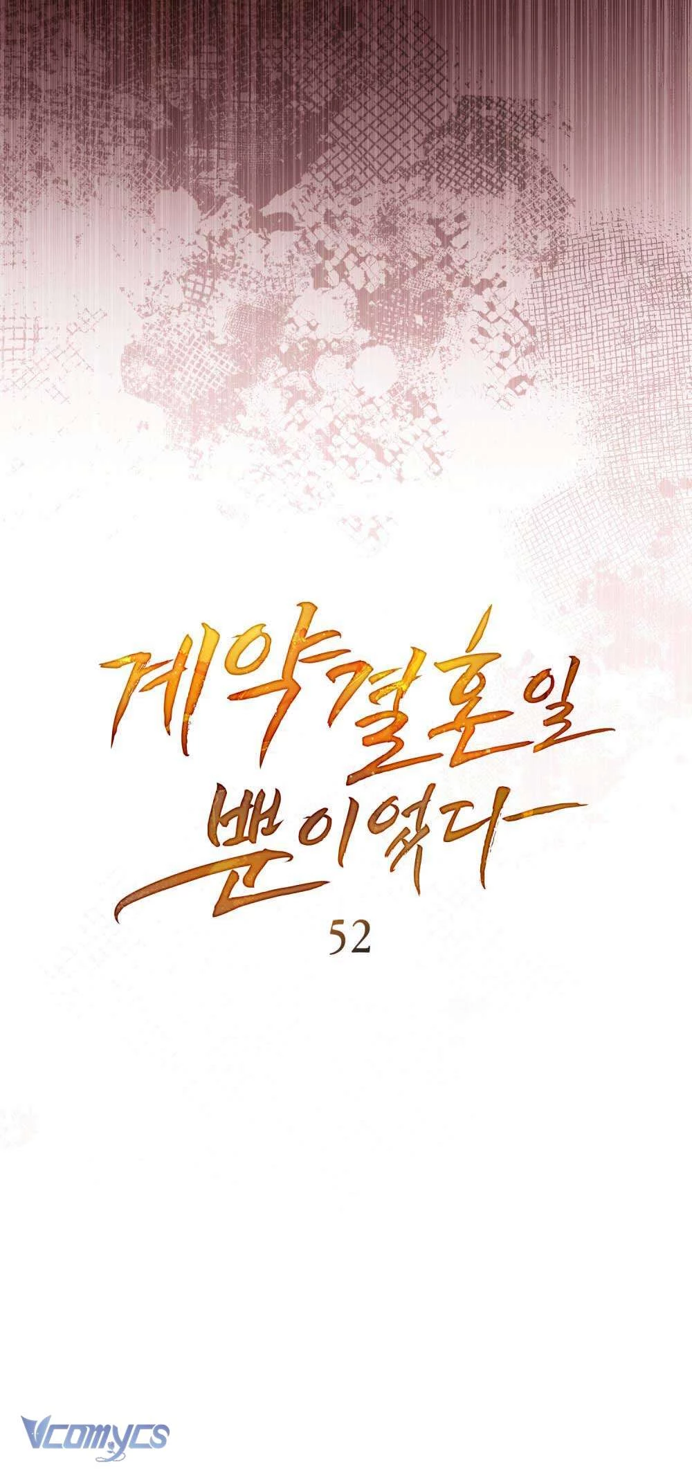 Hôn Nhân Khế Ước Chapter 52 - 20