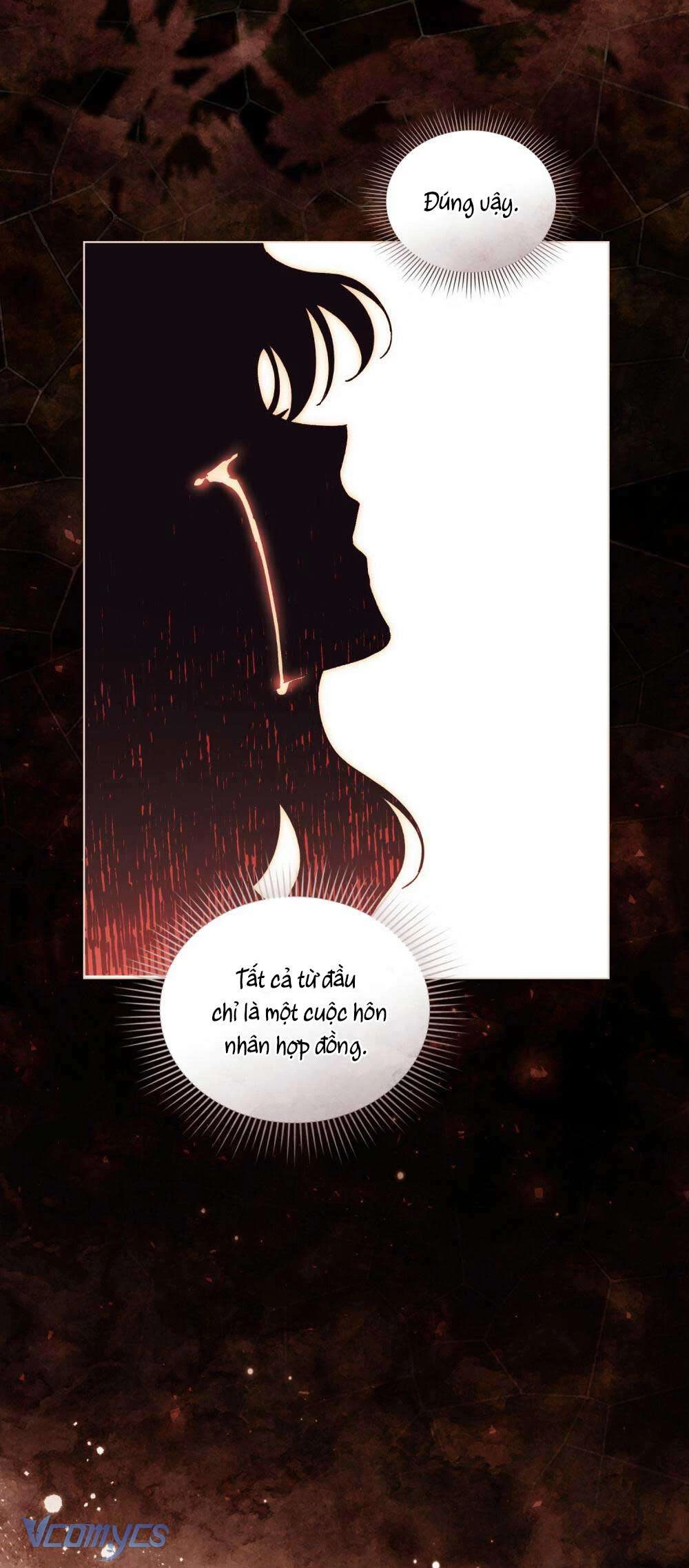 Hôn Nhân Khế Ước Chapter 53 - 45