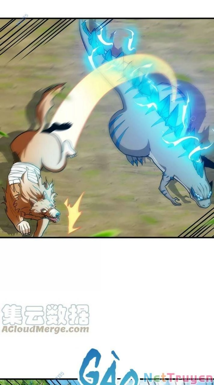 Trùng Sinh Thành Godzilla Chapter 20 - 46