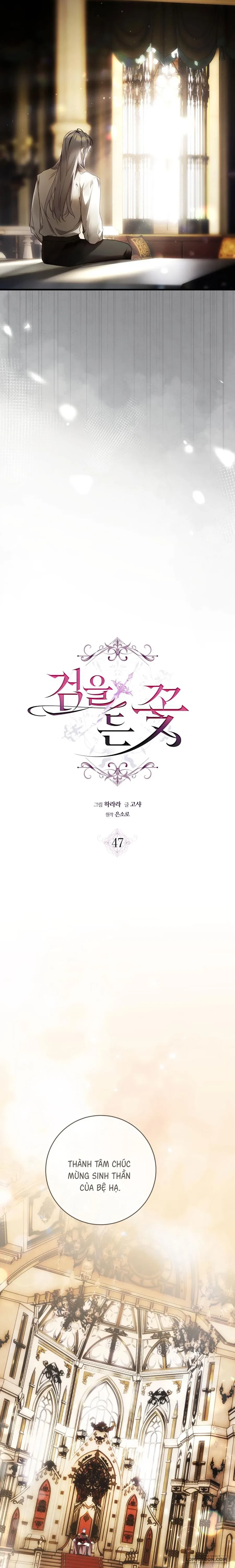 Hoa Bên Lưỡi Kiếm Chapter 47 - 8