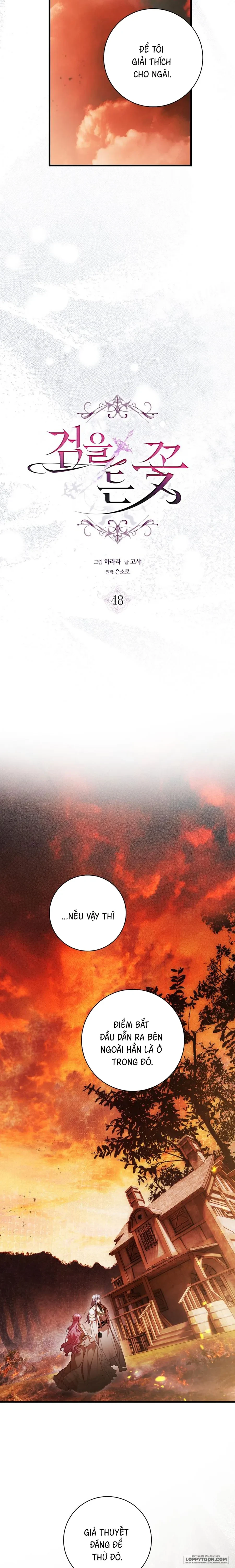 Hoa Bên Lưỡi Kiếm Chapter 48 - 4