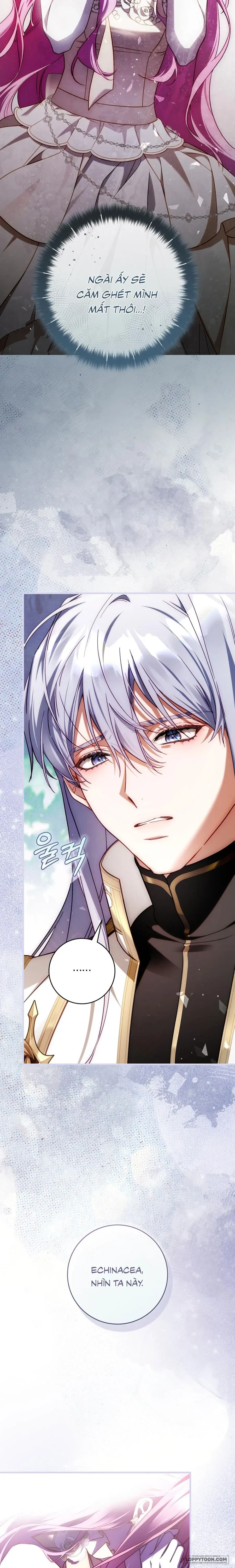 Hoa Bên Lưỡi Kiếm Chapter 49 - 20