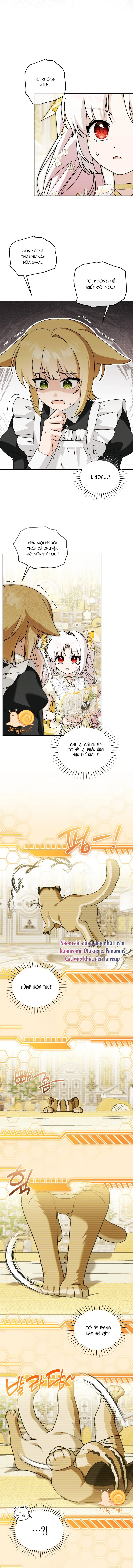 Con dâu của kẻ phản diện là một người có quyền lực Chapter  55 - 3