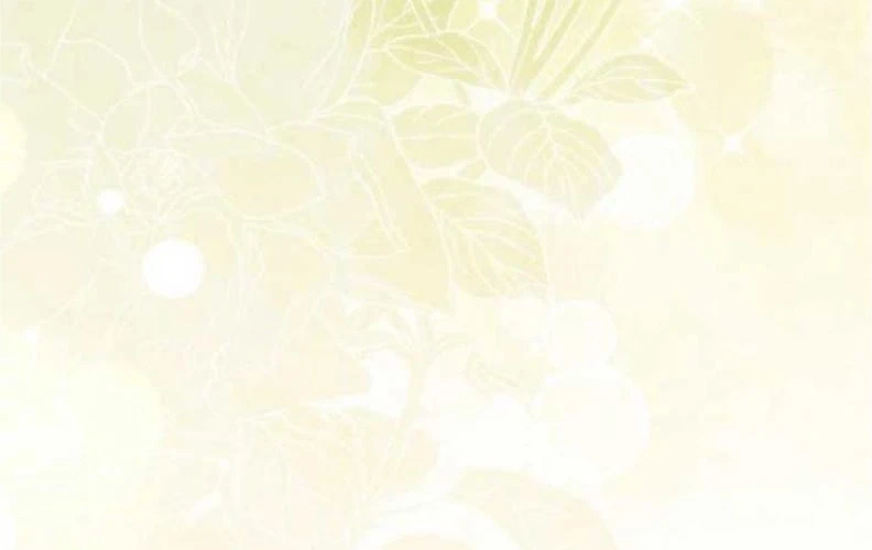 Tôi Trở Thành Nhân Vật Phụ Thê Thảm Trong Cuốn Tiểu Thuyết Chữa Lành Chapter 10 - 97