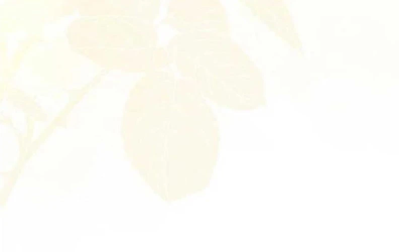 Tôi Trở Thành Nhân Vật Phụ Thê Thảm Trong Cuốn Tiểu Thuyết Chữa Lành Chapter 10 - 98