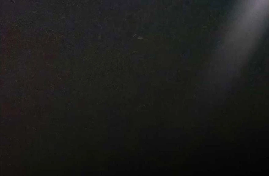 Tôi Trở Thành Nhân Vật Phụ Thê Thảm Trong Cuốn Tiểu Thuyết Chữa Lành Chapter 12 - 76