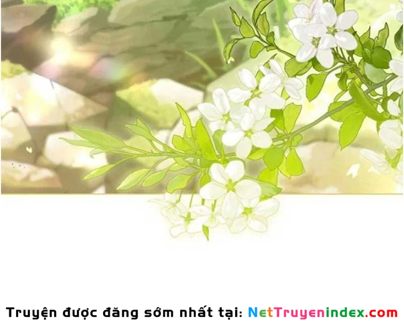 Tôi Trở Thành Nhân Vật Phụ Thê Thảm Trong Cuốn Tiểu Thuyết Chữa Lành Chapter 14 - 84