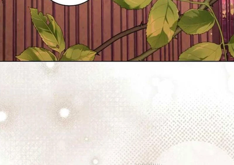 Tôi Trở Thành Nhân Vật Phụ Thê Thảm Trong Cuốn Tiểu Thuyết Chữa Lành Chapter 15 - 34