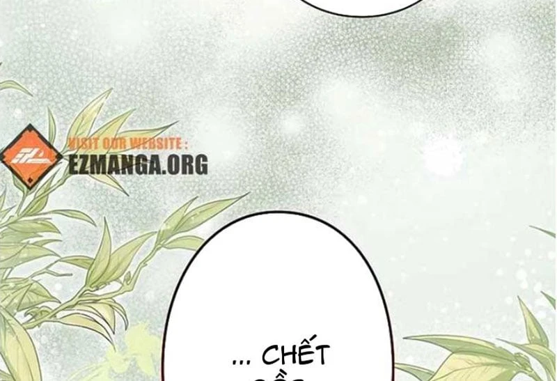 Tôi Trở Thành Nhân Vật Phụ Thê Thảm Trong Cuốn Tiểu Thuyết Chữa Lành Chapter 16 - 216
