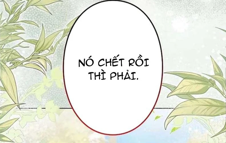 Tôi Trở Thành Nhân Vật Phụ Thê Thảm Trong Cuốn Tiểu Thuyết Chữa Lành Chapter 17 - 2