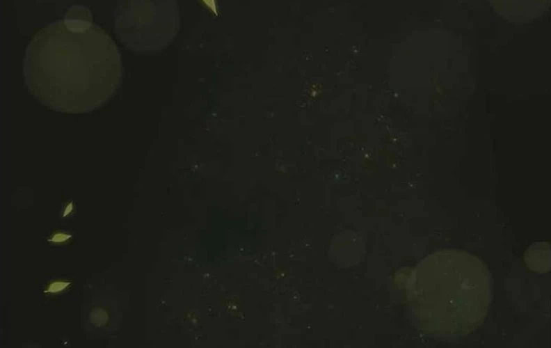 Tôi Trở Thành Nhân Vật Phụ Thê Thảm Trong Cuốn Tiểu Thuyết Chữa Lành Chapter 17 - 18