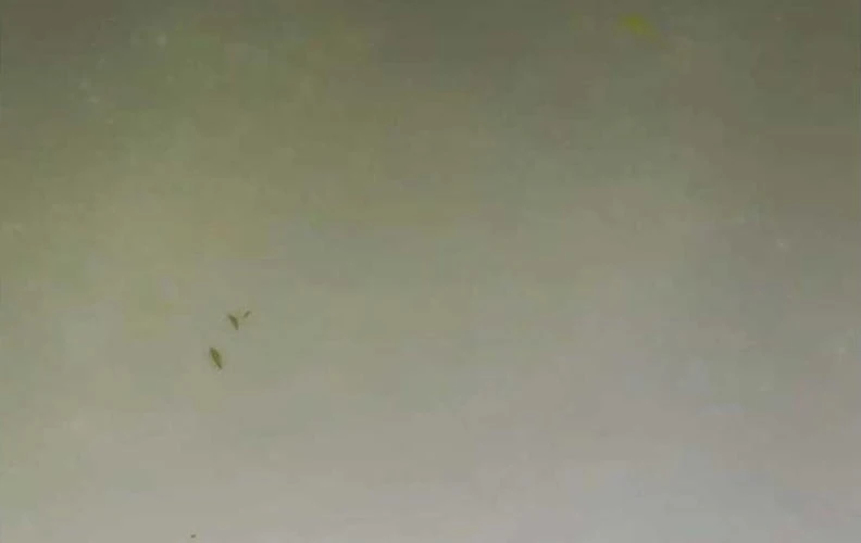 Tôi Trở Thành Nhân Vật Phụ Thê Thảm Trong Cuốn Tiểu Thuyết Chữa Lành Chapter 17 - 21