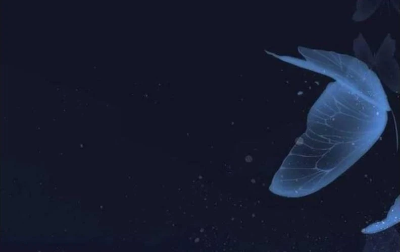 Tôi Trở Thành Nhân Vật Phụ Thê Thảm Trong Cuốn Tiểu Thuyết Chữa Lành Chapter 17 - 88