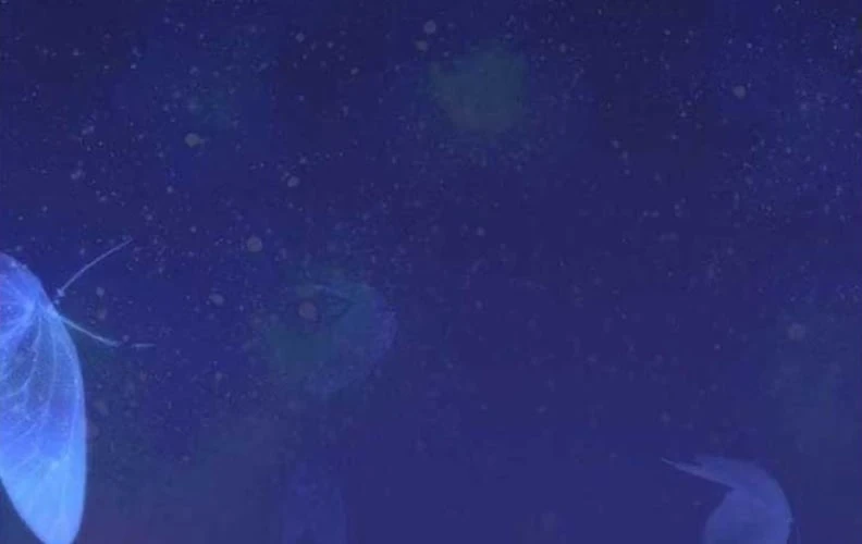 Tôi Trở Thành Nhân Vật Phụ Thê Thảm Trong Cuốn Tiểu Thuyết Chữa Lành Chapter 17 - 90