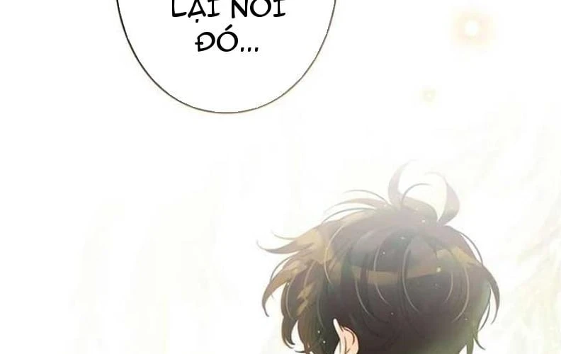 Tôi Trở Thành Nhân Vật Phụ Thê Thảm Trong Cuốn Tiểu Thuyết Chữa Lành Chapter 18 - 66