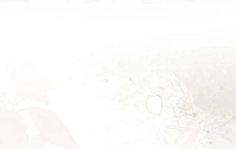 Tôi Trở Thành Nhân Vật Phụ Thê Thảm Trong Cuốn Tiểu Thuyết Chữa Lành Chapter 18 - 75