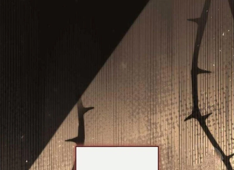 Tôi Trở Thành Nhân Vật Phụ Thê Thảm Trong Cuốn Tiểu Thuyết Chữa Lành Chapter 20 - 233