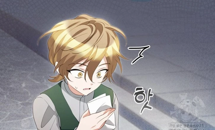 Tôi Trở Thành Nhân Vật Phụ Thê Thảm Trong Cuốn Tiểu Thuyết Chữa Lành Chapter 27 - 241