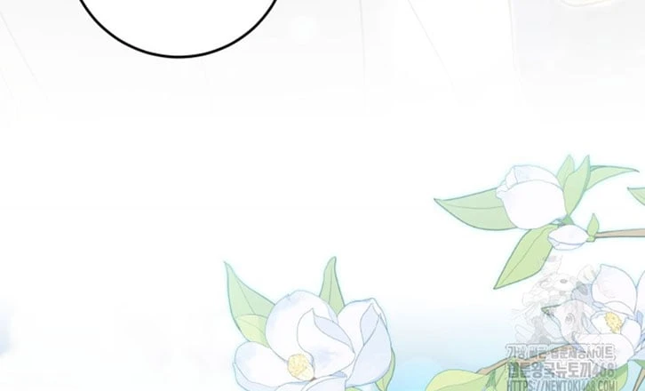 Tôi Trở Thành Nhân Vật Phụ Thê Thảm Trong Cuốn Tiểu Thuyết Chữa Lành Chapter 27 - 253