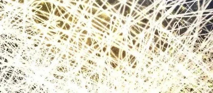 Sự Trở Lại Của Quyền Vương Chapter 32 - 202