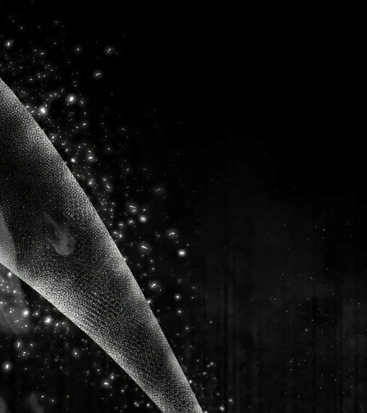 Sự Trở Lại Của Quyền Vương Chapter 47 - 260