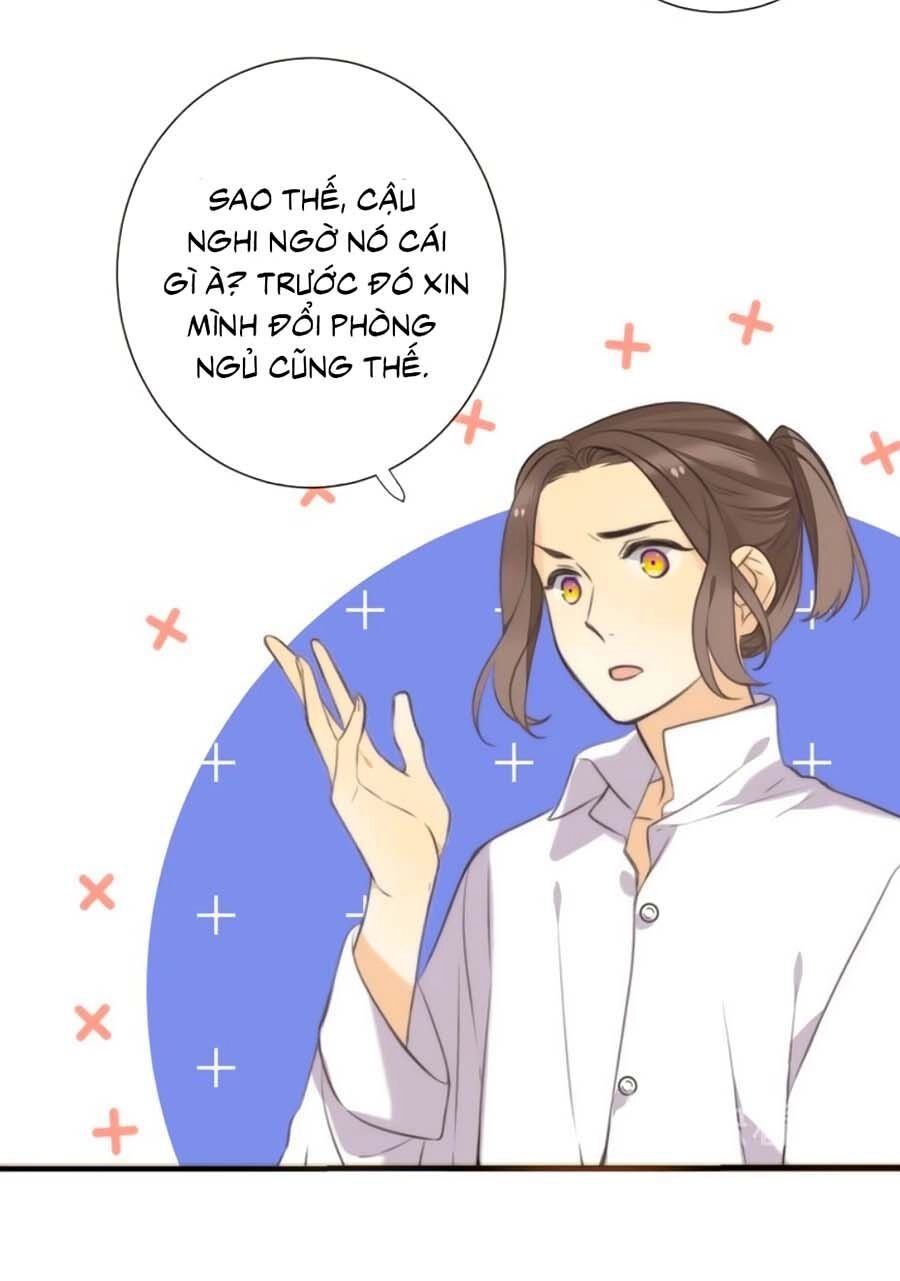 Lâu Tiểu Thư, Lại Gặp Nhau Rồi Chapter 4 - 27